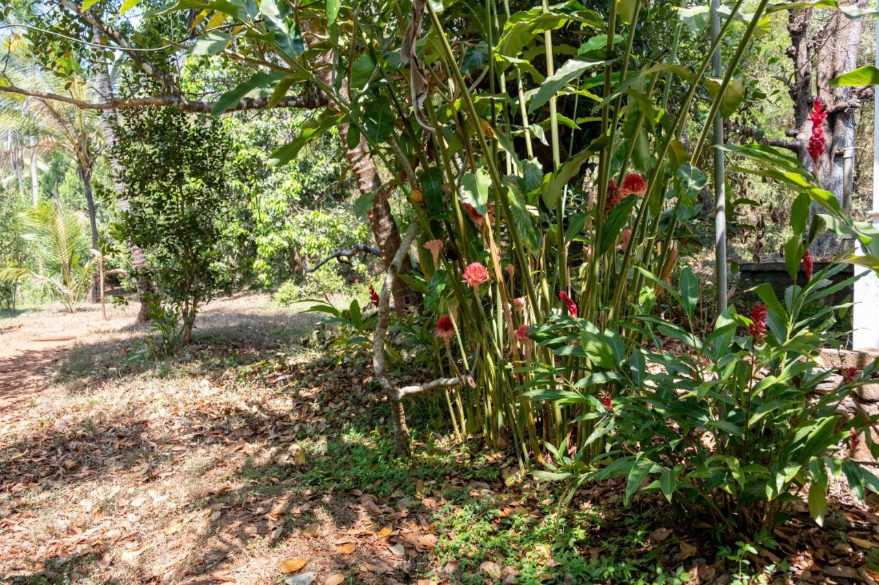 Mangaal Farmstay Goa Vichondrem Exterior foto