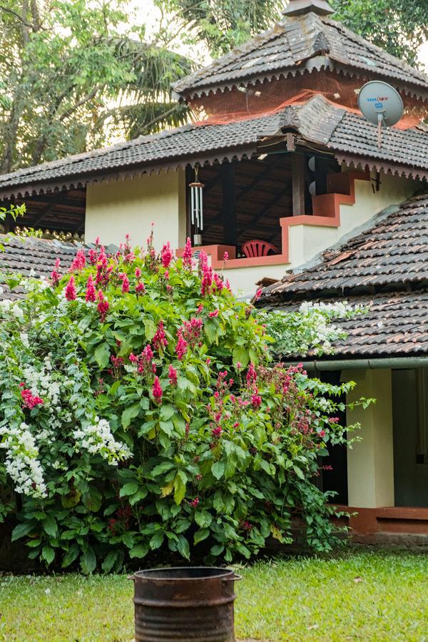 Mangaal Farmstay Goa Vichondrem Exterior foto