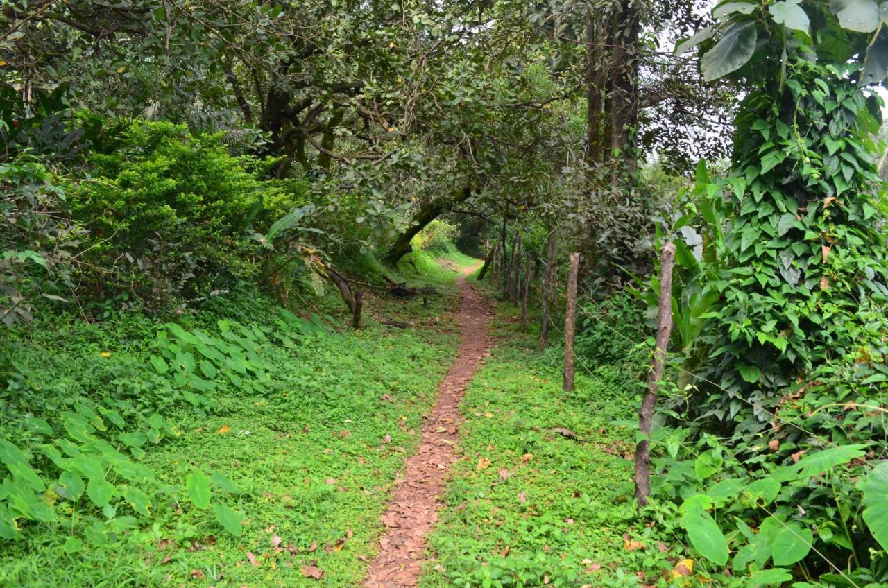 Mangaal Farmstay Goa Vichondrem Exterior foto